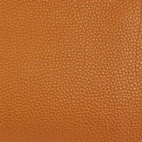 epsom togo leather